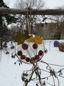IMG_20220111_112449