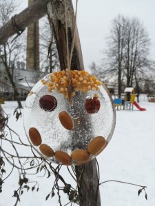 IMG_20220111_112502