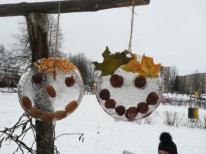 IMG_20220111_112640