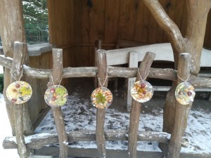 IMG_20220111_112918