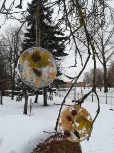 IMG_20220111_113101