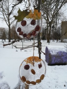 IMG_20220111_113221