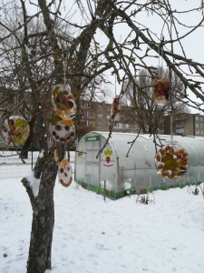 IMG_20220111_113425